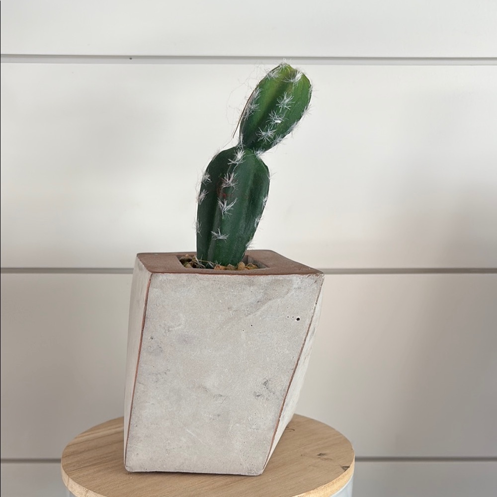 Urban Outfitters Faux Cactus Succulent Plant